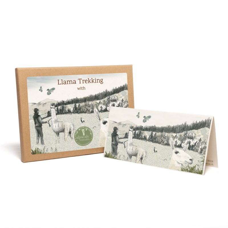 Llama Trekking Voucher For 1 Person Walking 1 Llama on a Mixed Group Trek