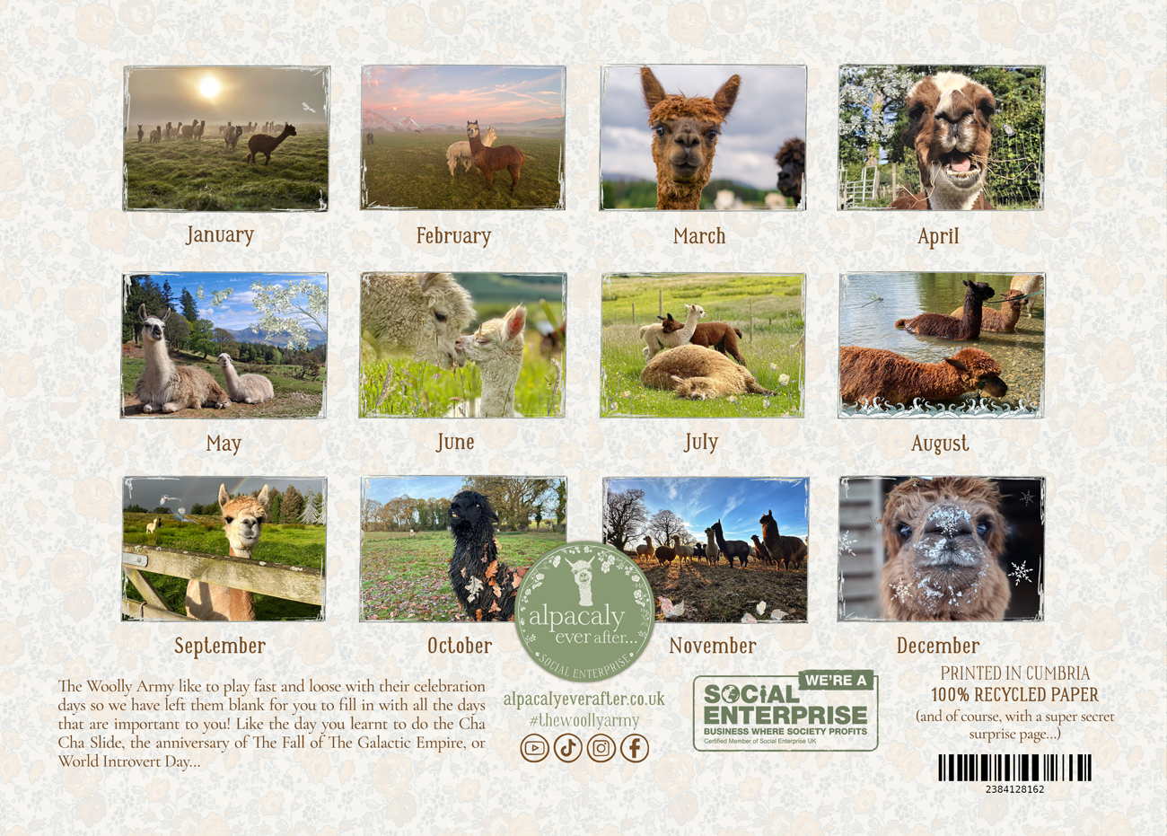 * Pre-Order * Alpacaly 2026 Calendar - Image 8