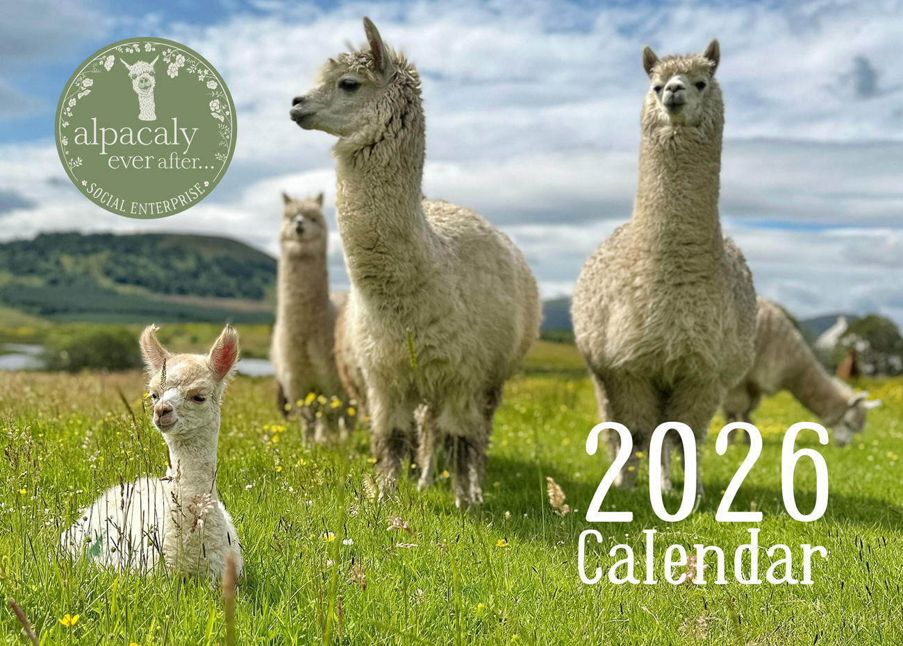 * Pre-Order * Alpacaly 2026 Calendar