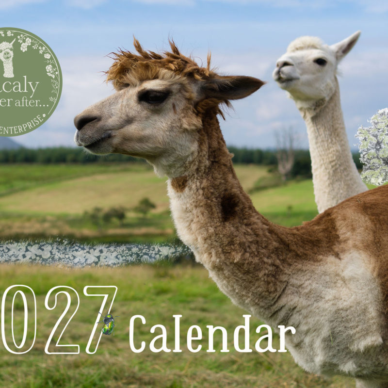Alpacaly 2027 Calendar *Pre-Order*