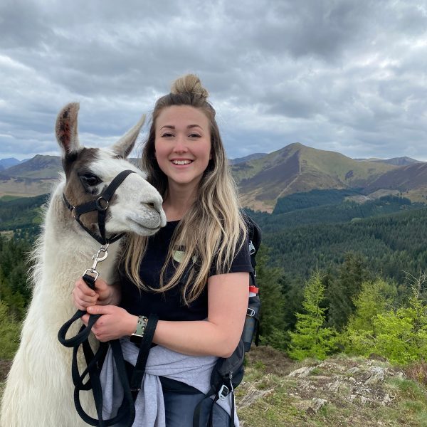 Llama Trekking Voucher For 2 People Walking 2 Llamas on a Mixed Group Trek - Image 5
