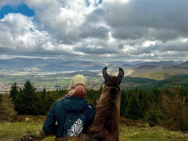 Llama Trekking Voucher For 2 People Walking 2 Llamas on a Mixed Group Trek - Image 8