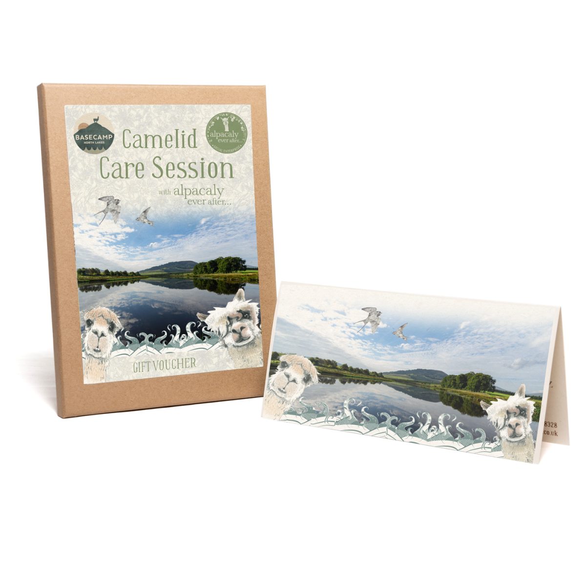 Camelid Care Session for 1 Person Gift Voucher