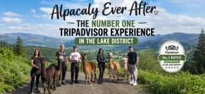 Tripadvisors Number 1 Animal Experience In Keswick The Lake District Cumbria
