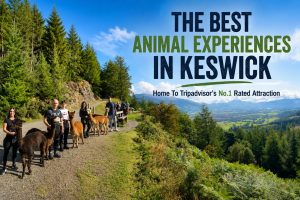 Thinks To Do In Keswick, Lake District